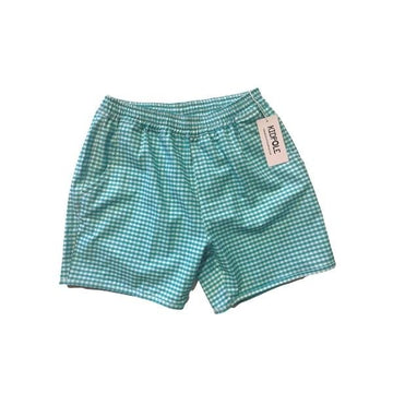 Kidpole Boys Mint Gingham Swimming Shorts - Shoptadpole